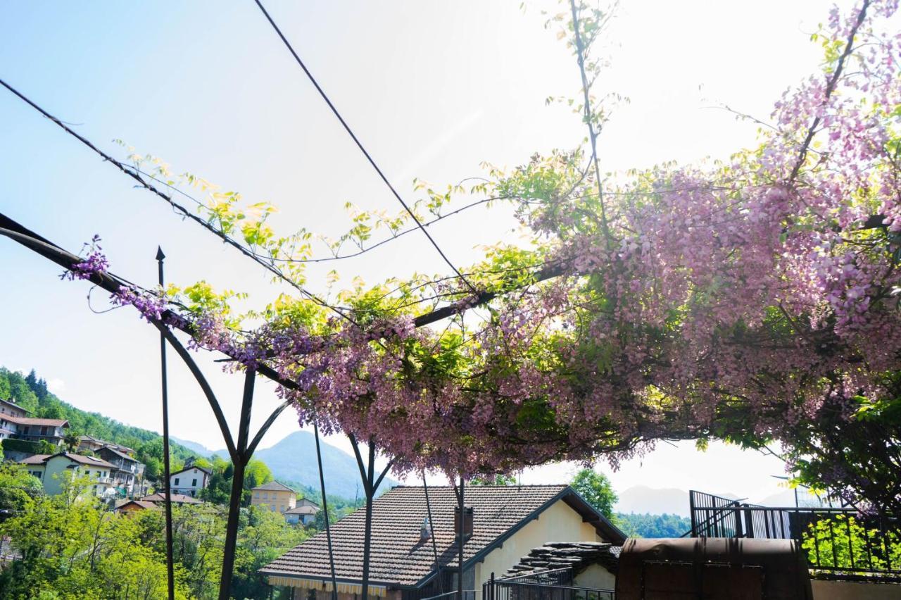 Guesthouse Giulietta E Romeo Cossogno Екстериор снимка