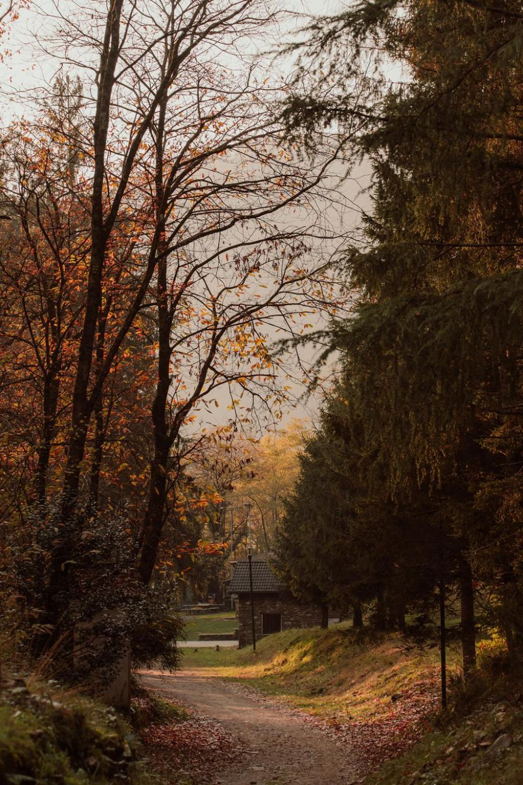 Guesthouse Giulietta E Romeo Cossogno Екстериор снимка