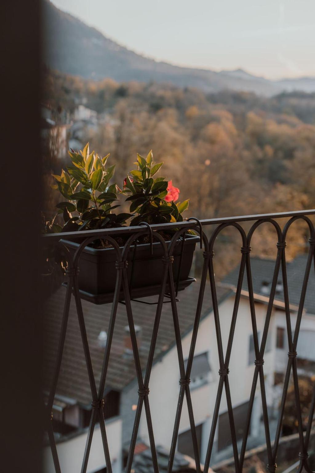 Guesthouse Giulietta E Romeo Cossogno Екстериор снимка